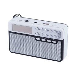 اسپیکر بلوتوث قابل حمل مارشال Marshal GS-1101