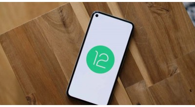 نسخه بتای اندروید 12 هم اکنون برای دانلود و نصب برخی از کاربران عرضه شده است