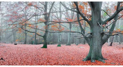 پنج اپلیکیشن کاربردی برای ادیت عکس بر روی آیفون و اندروید