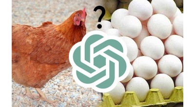 «اول مرغ بوده یا تخم مرغ؟»؛ ChatGPT در این رابطه چه فکر می کند؟!