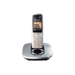 تلفن بی سیم پاناسونیک Panasonic KX-TG6421