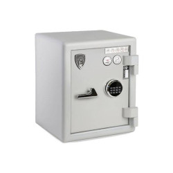 گاو صندوق خانگی گنجینه GMP GS550