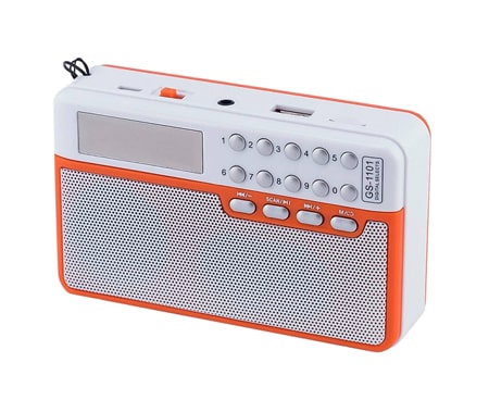 قابلیت و مشخصات فنی اسپیکر قابل حمل مارشال GS-1101