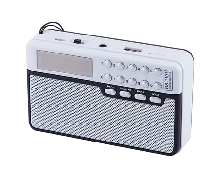 قابلیت و مشخصات فنی اسپیکر قابل حمل مارشال GS-1101