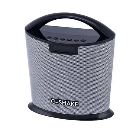 قابلیت و مشخصات فنی اسپیکر قابل حمل مارشال GS-1103