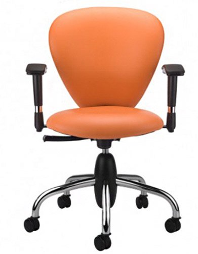 طراحی و کیفیت صندلی کارشناسی Nilper SK507H