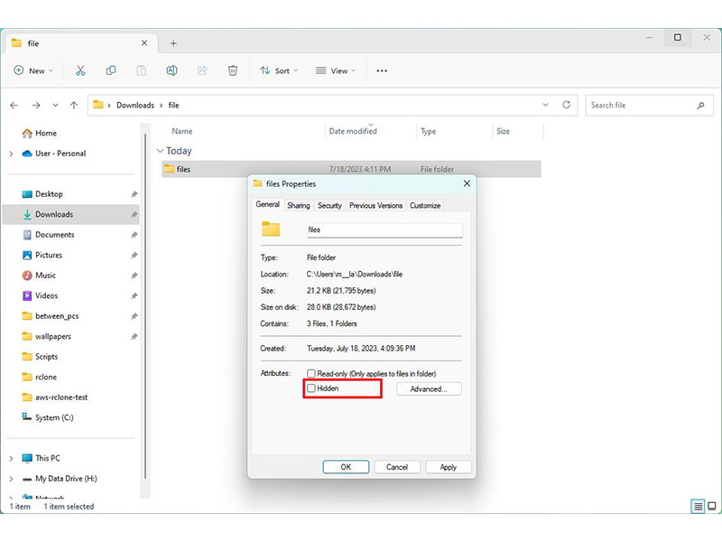 نحوه مخفی کردن فایل در Windows 11نحوه مخفی کردن فایل در Windows 11