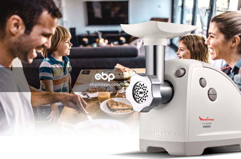 چرخ گوشت مولینکس Mulinex MM66