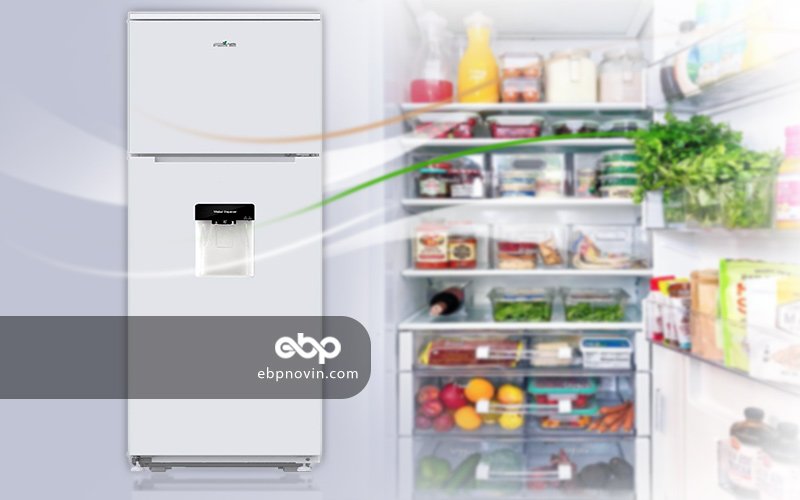 قابلیت ها و امکانات یخچال و فریزر سینجر مدل T5599DW